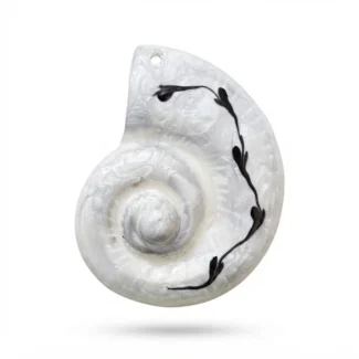 Coquillage Nautile Sculpté et Orné