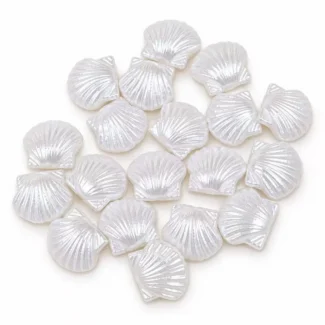 Perles d'imitation coquillage peigne blanc nacré