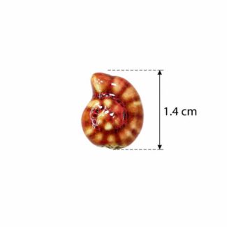 Perle Coquillage Ammonite Marron et Beige