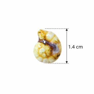 Perle Coquillage Ammonite Blanc et Ambré