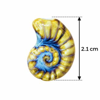 Perle Coquillage Ammonite Jaune et Bleu