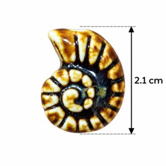 Perle Coquillage Ammonite Noir et Blanc