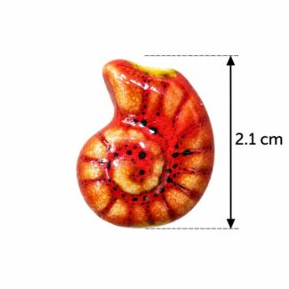 Perle Coquillage Ammonite Rouge et Orange (