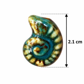 Perle céramique coquillage ammonite turquoise et marron