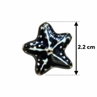 Perle étoile de mer noire et blanche